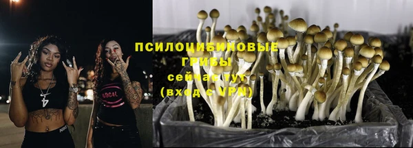 ешки Магас