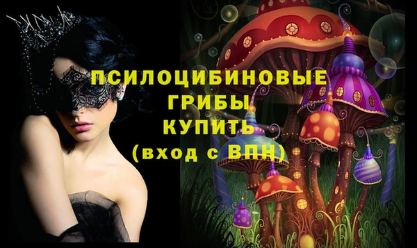 ешки Магас
