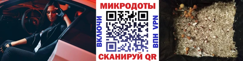 Галлюциногенные грибы MAGIC MUSHROOMS  продажа наркотиков  Кострома 