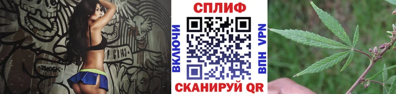 купить   Кострома  Марихуана планчик 
